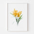 Yellow flower bunch Art Print